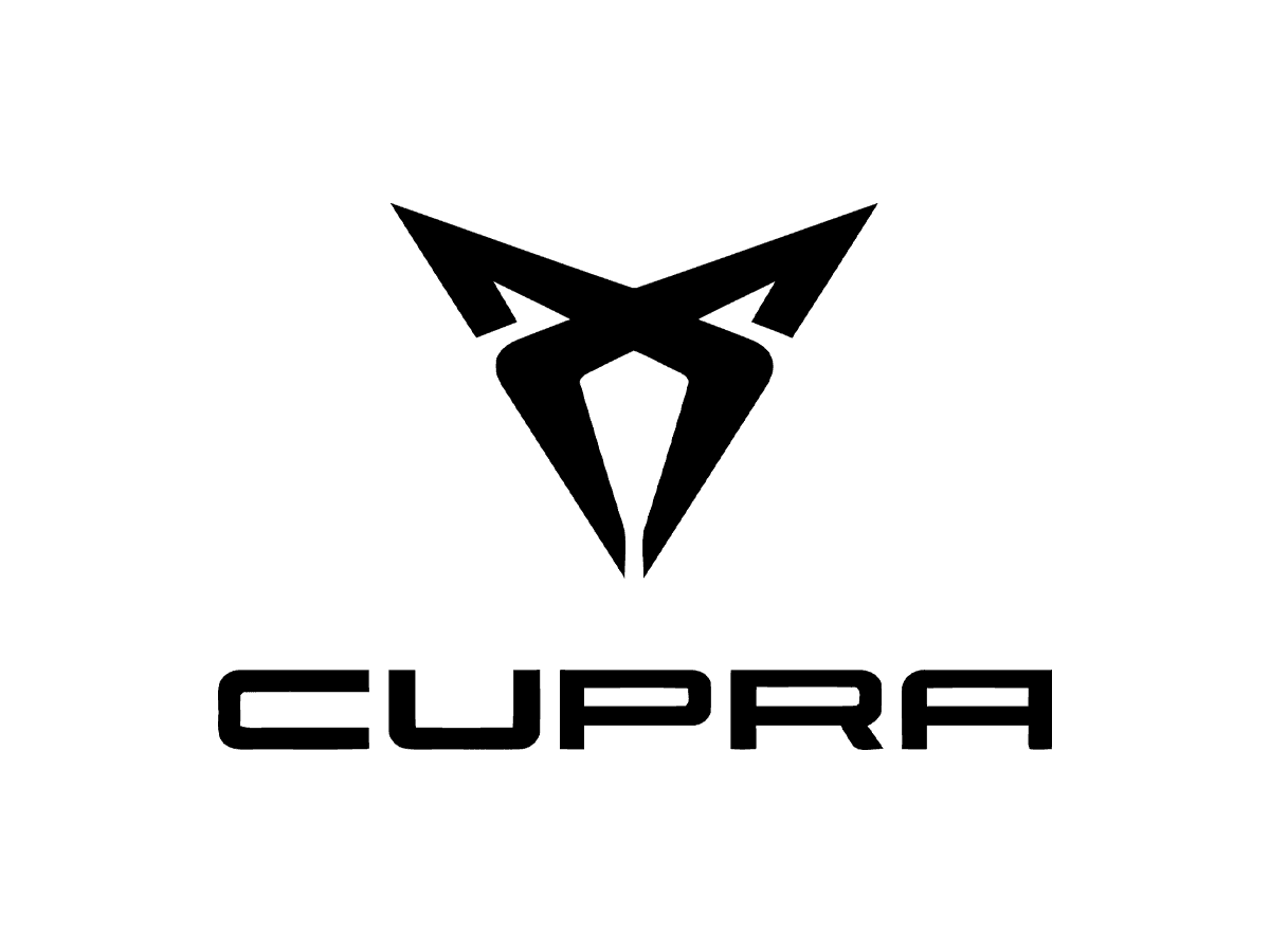 Seone Update-Lizenz für Cupra ODIS (1 Jahr)